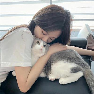 追杀51号